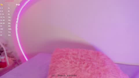 Snapshot of katiepeach_ chatting on January 7, 4:48 pm Katy IGPeach kat666 online show from January 7, 4:48 pm
