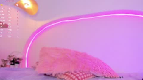 Snapshot of katiepeach_ chatting on January 9, 4:39 pm Katy IGPeach kat666 online show from January 9, 4:39 pm