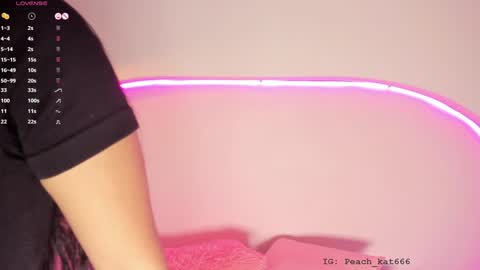 Snapshot of katiepeach_ chatting on January 18, 12:15 pm Katy IGPeach kat666 online show from January 18, 12:15 pm