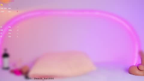 Snapshot of katiepeach_ chatting on January 19, 4:46 pm Katy IGPeach kat666 online show from January 19, 4:46 pm