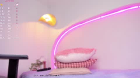 Snapshot of katiepeach_ chatting on January 22, 3:40 pm Katy IGPeach kat666 online show from January 22, 3:40 pm
