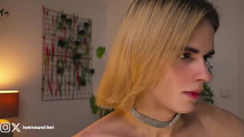 sasha online show from February 8, 11:45 pm