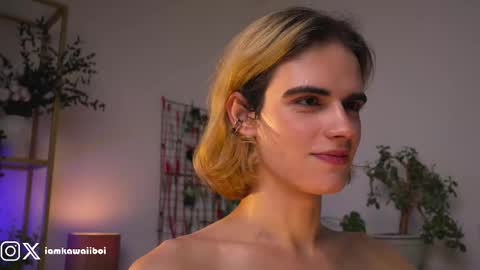 sasha online show from February 12, 4:01 am