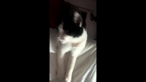 kay_la online show from October 4, 10:13 am