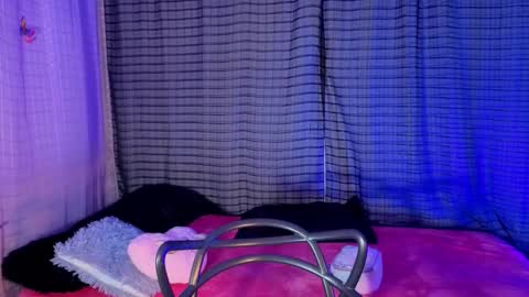 Snapshot of kayleemorales chatting on November 19, 7:14 pm Kaylee online show from November 19, 7:14 pm