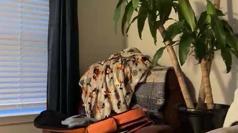 Keaton Keller online show from October 17, 10:56 pm