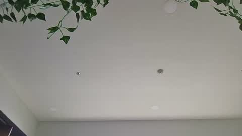 Sky-pure-Japanese online show from April 7, 5:52 am