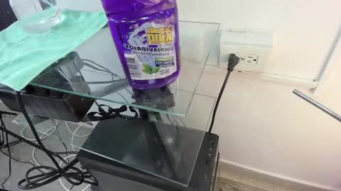 Kendra London online show from February 7, 10:52 am