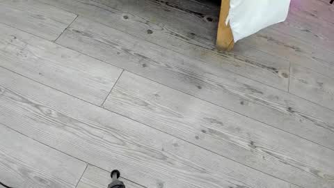 Kendra London online show from February 24, 11:19 am