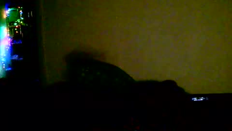 kev online show from February 18, 1:45 am