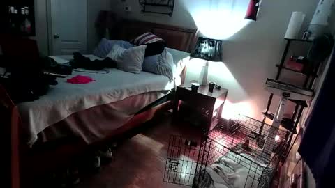 Snapshot of kevincosco65 chatting on February 18, 5:09 am kevincosco65 online show from February 18, 5:09 am