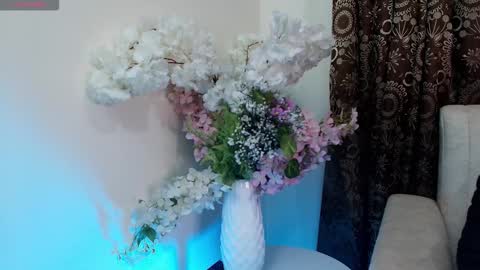 Snapshot of kiaraa88 chatting on December 18, 12:22 pm Valery online show from December 18, 12:22 pm