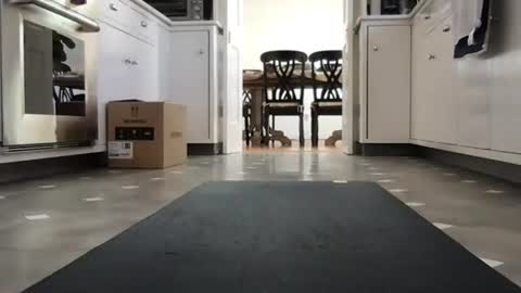 Kicknbutt online show from February 26, 8:52 pm