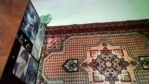 kikibang_ online show from November 20, 8:14 am