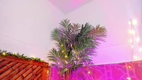 kimberly gonzalez online show from January 11, 6:45 am