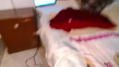 Conejo online show from March 10, 12:18 am