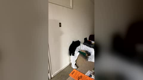 kingecstasyxxxddd online show from January 16, 8:51 am