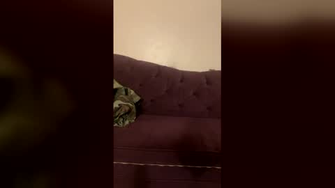 kingecstasyxxxddd online show from March 18, 4:54 pm