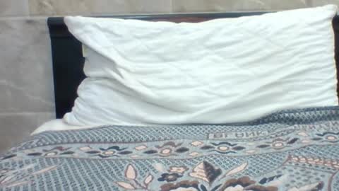 Snapshot of kingjordan122 chatting on January 30, 7:15 pm kingjordan122 online show from January 30, 7:15 pm