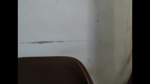 kinkyjuicexx online show from April 13, 10:10 am