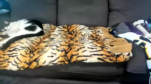 Kinky online show from February 4, 6:17 pm