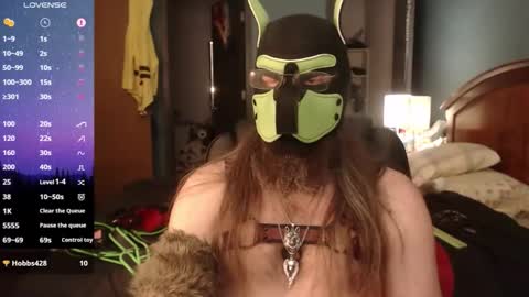 kinkywolf87 online show from April 13, 10:59 pm