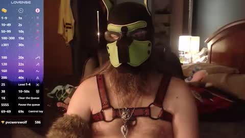 Snapshot of kinkywolf87 chatting on May 8, 12:27 am kinkywolf87 online show from May 8, 12:27 am