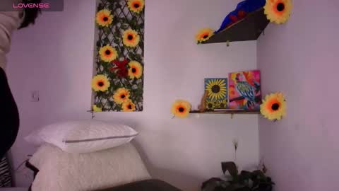 Helena and Brad online show from February 19, 3:02 am