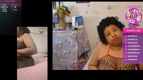 kitten online show from January 14, 3:45 am