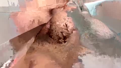 kitkatmac online show from January 3, 7:29 pm