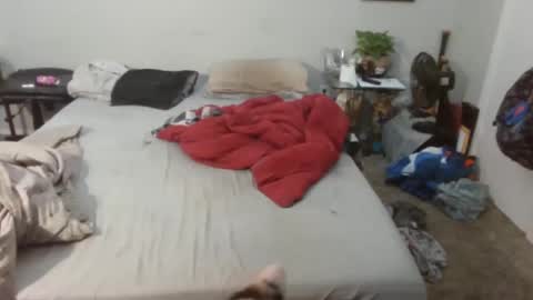 Kitten and rebellious online show from February 20, 4:57 pm