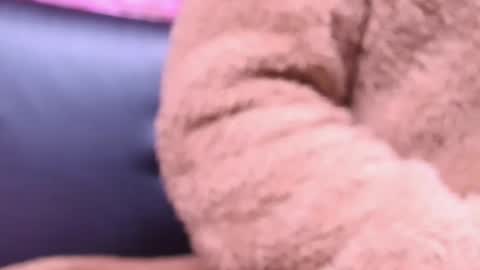 Snapshot of kitty_malach chatting on October 23, 2:22 am Kitty online show from October 23, 2:22 am