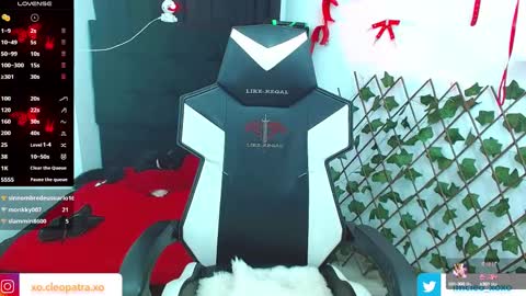 kitty_vaal online show from February 13, 8:06 am