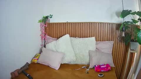 K I T T Y   online show from February 4, 8:14 pm