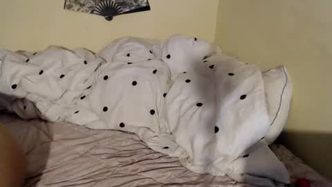 babygirlkitty online show from December 7, 4:42 am