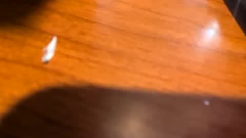kittykat175154 online show from March 28, 11:43 am