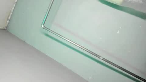 Snapshot of kittylickerfucker69 chatting on November 29, 9:45 am Grace online show from November 29, 9:45 am