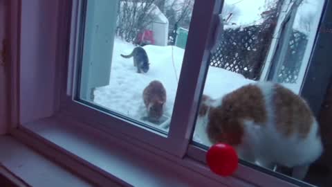 kiveuxmakeu online show from December 27, 9:11 pm