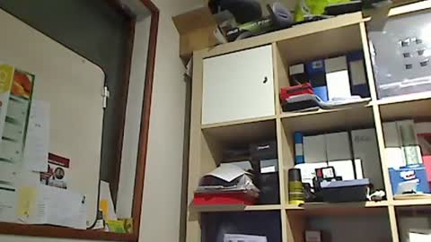 Snapshot of kokin3034 chatting on January 8, 1:20 pm kokin3034 online show from January 8, 1:20 pm