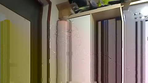 Snapshot of kokin3034 chatting on February 22, 8:40 am kokin3034 online show from February 22, 8:40 am