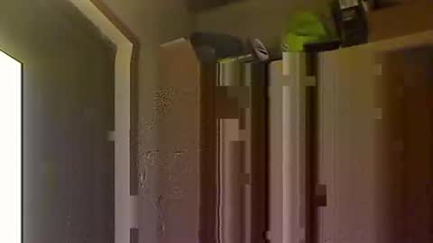 Snapshot of kokin3034 chatting on October 8, 4:43 am kokin3034 online show from October 8, 4:43 am