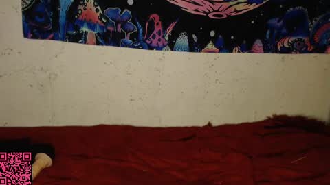 konekokawai online show from February 13, 11:15 pm