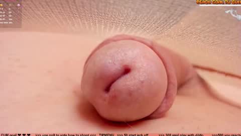 Petra online show from February 19, 8:05 pm