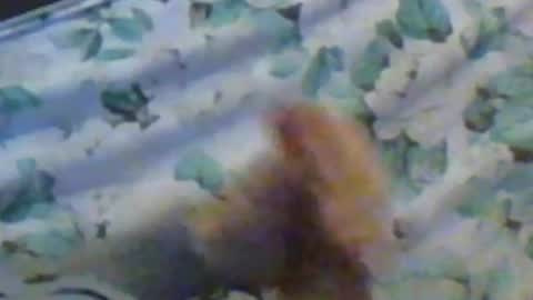 Snapshot of kren565656 chatting on December 10, 11:32 am kren565656 online show from December 10, 11:32 am