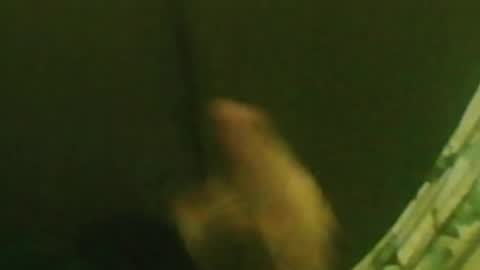 Snapshot of kren565656 chatting on December 29, 1:34 am kren565656 online show from December 29, 1:34 am