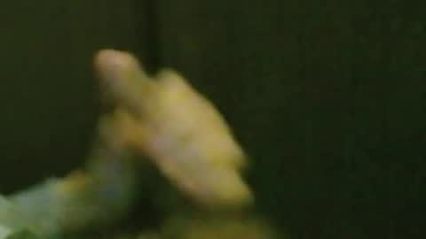 Snapshot of kren565656 chatting on October 20, 8:26 am kren565656 online show from October 20, 8:26 am