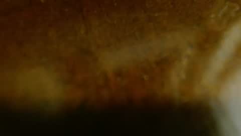 la teaser online show from November 20, 1:17 am