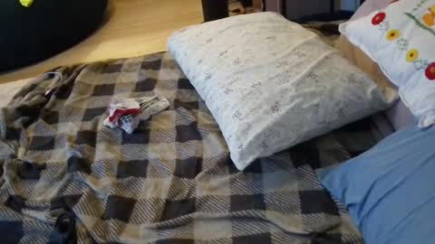 Snapshot of lacey_rose6 chatting on July 1, 8:05 am lacey_rose6 online show from July 1, 8:05 am