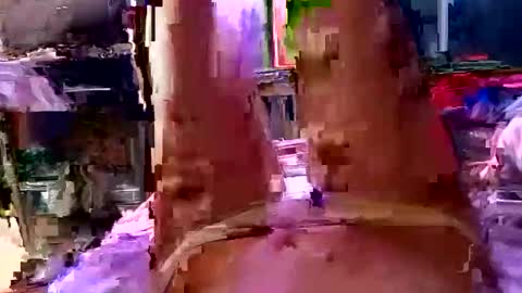 lady24x online show from March 13, 4:24 pm