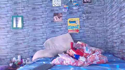 Snapshot of lady_godss chatting on December 1, 7:08 pm Lady godss online show from December 1, 7:08 pm